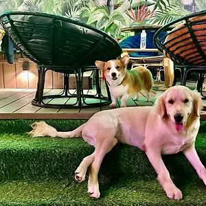 Auberge de jeunesse Rom Casa, Đà Nẵng